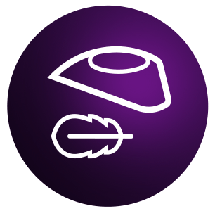 Philips Ikona Ultra Lekkie